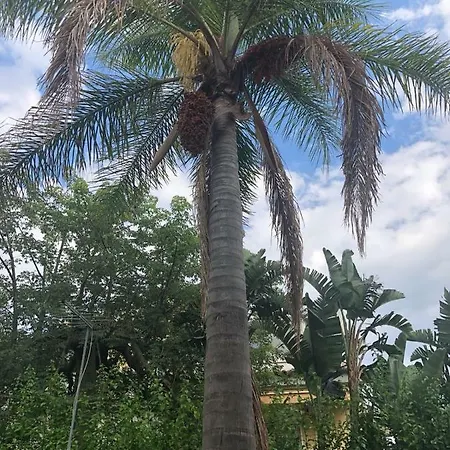 Дом отдыха La Casa Dei Sassi House