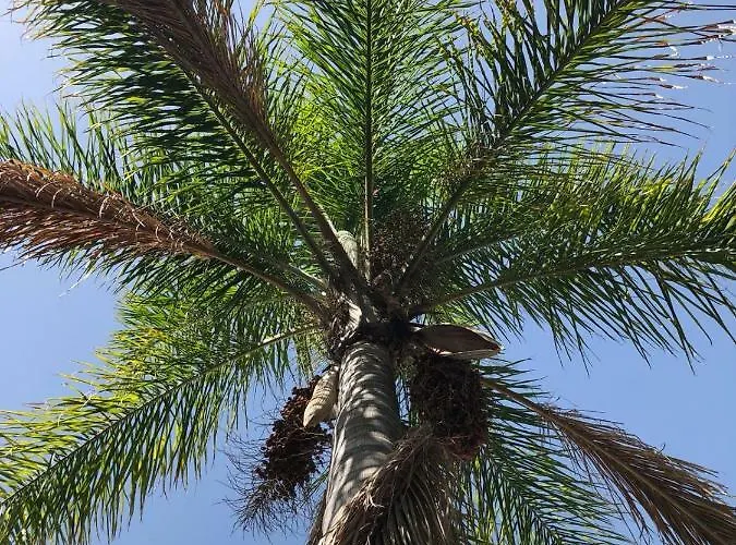 La Casa Dei Sassi House