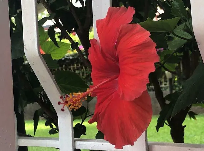 La Casa Dei Sassi House Holiday home Giardini Naxos