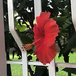 La Casa Dei Sassi House Будинок відпочинку Джардіні-Наксос