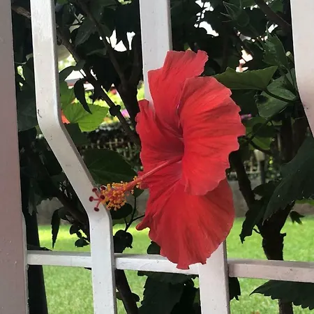 La Casa Dei Sassi House 度假居 贾迪尼-纳克索斯