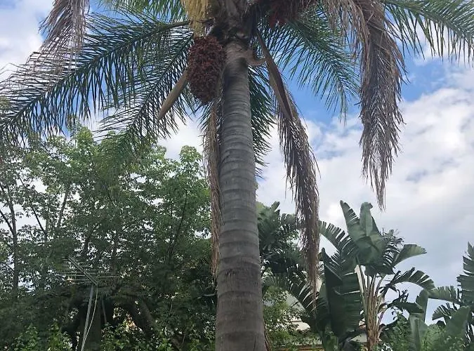 Vakantiehuis La Casa Dei Sassi House